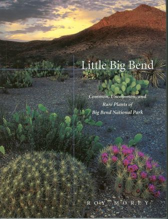 Little Big Bend Little Big Bend